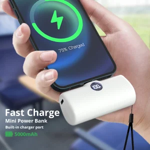 Fast Charging Portable Power Bank