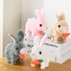 Hopping Rabbit Animated - Thumbnail Image 6